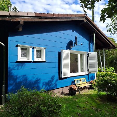 Platell Ferienhausverwaltung Санкт-Андреасберг Екстер'єр фото